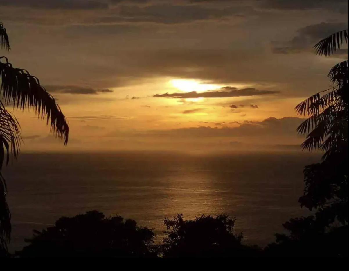 Beautiful Rustic Treehouse Hotel Manuel Antonio Quepos Bagian luar foto